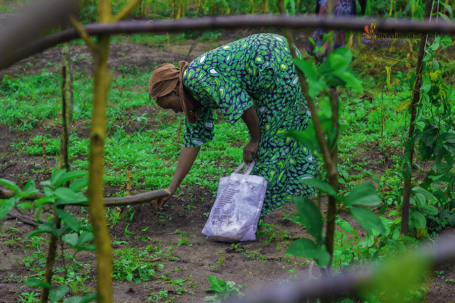 Touch Intercultural farm project4