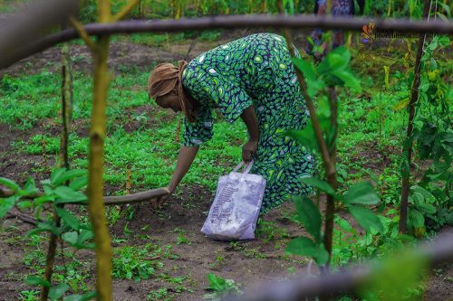 Touch Intercultural farm project4